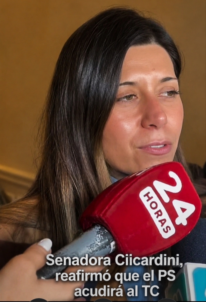 PPD y PS: la contradicción que golpea a la ciudadanía