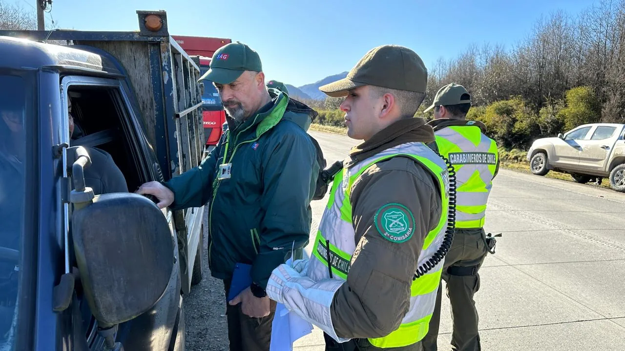 Operativos en la Ruta CH-240: Aysén refuerza controles para frenar el abigeato y evitar riesgos en la mesa dieciochera