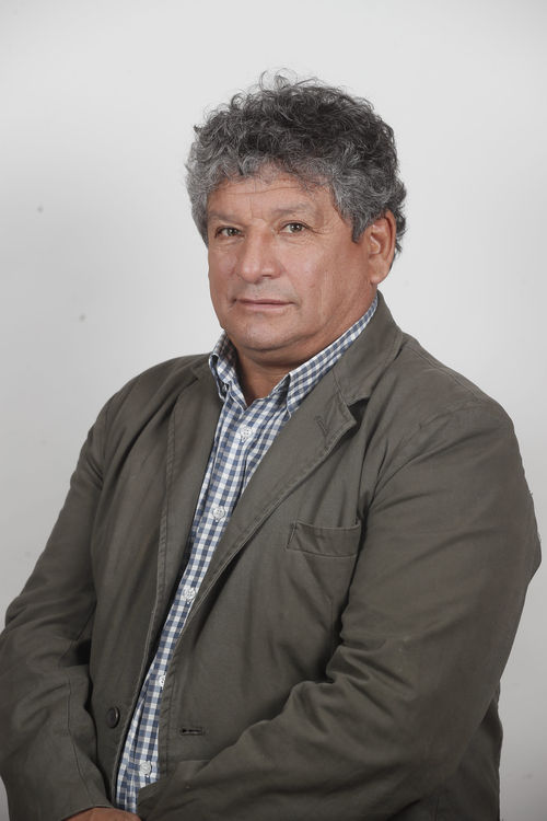 René Alinco Bustos — Biblioteca del Congreso Nacional de Chile, CC BY-SA 3.0 CL (Wikimedia Commons)