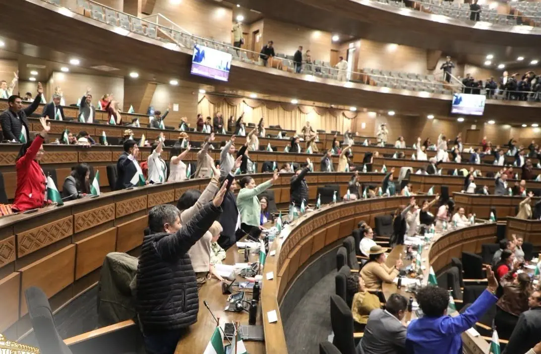 Consensos coyunturales y sin mayoría estable: la frágil victoria legislativa de Paz en Bolivia