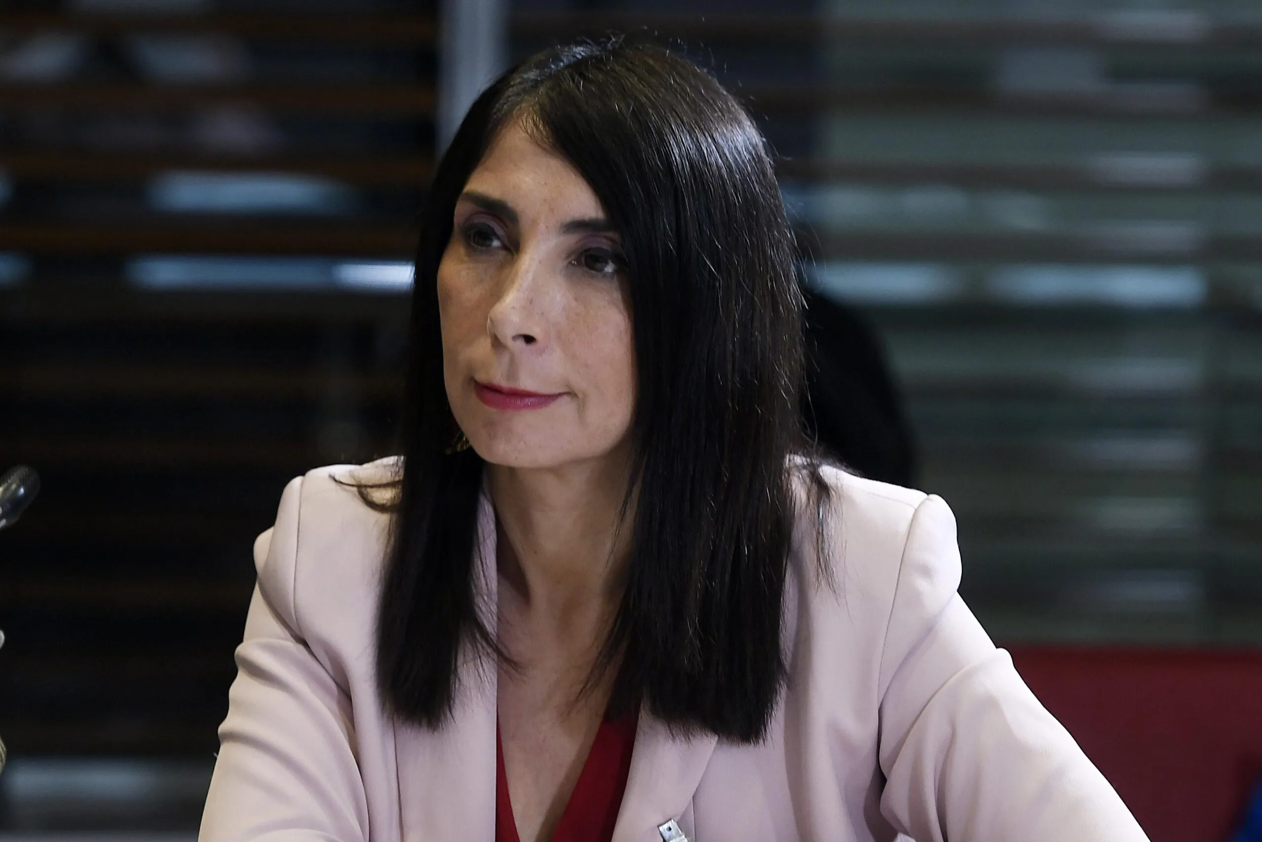 Rubilar denuncia retroceso en política tecnológica de Kast